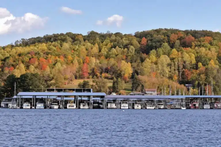 Marina docks and facilities